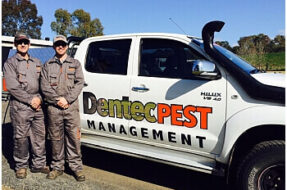 DentecPestManagement-Dubbo-NSW