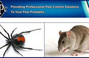 Joondalup Pest Control