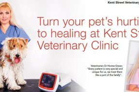 Kent Street Veterinary Clinic