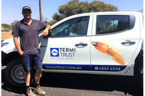 TermitrustPestControl-Dubbo-NSW