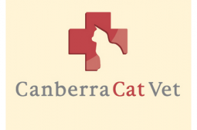 canberra cat vet