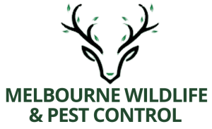 melbourne-pest-control-logo