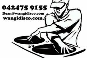 wangidisco-e1550869981500